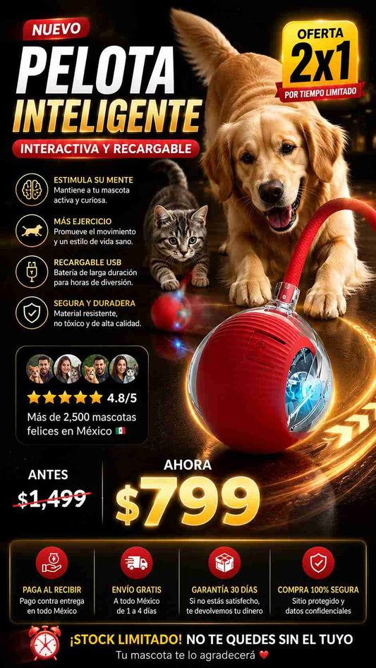 2X1 Juguete Pelota Recargable Para Mascota